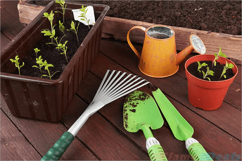 gardening-starter-kit