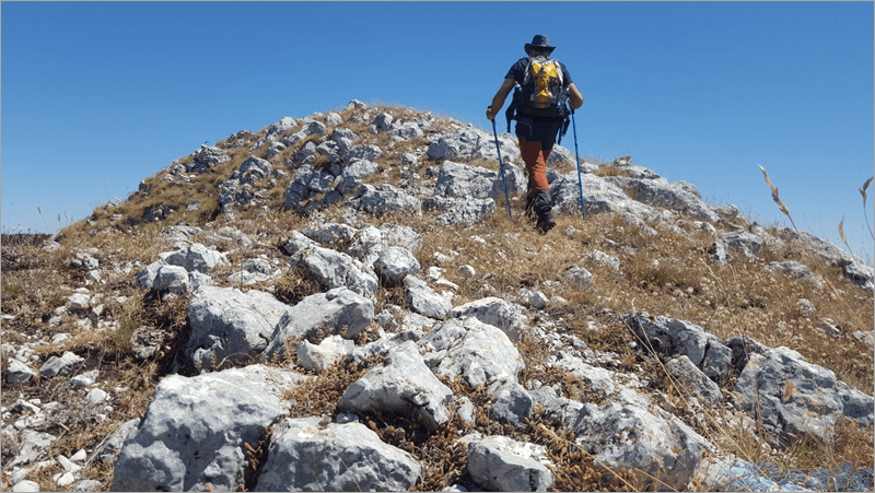 top-5-hiking-boots-for-every-terrain-and-adventure