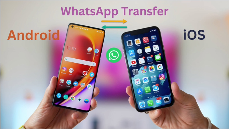 ios-android-whatsapp-transfer